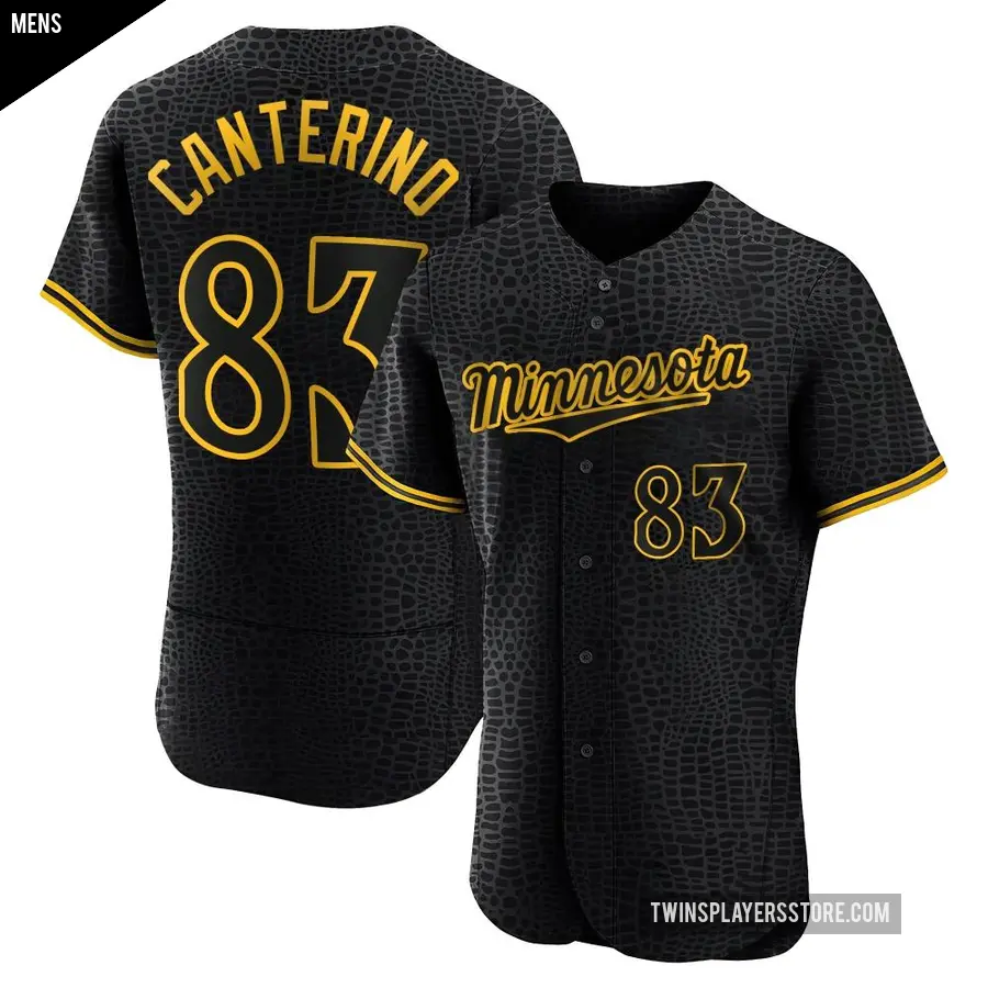 Men's Minnesota Twins ＃83 Matt Canterino Authentic Black Snake Skin City Jersey