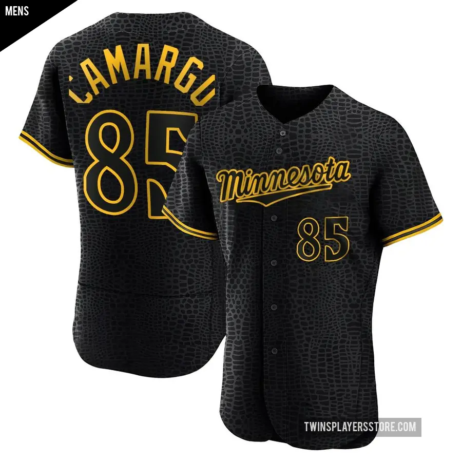 Men's Minnesota Twins ＃85 Jair Camargo Authentic Black Snake Skin City Jersey