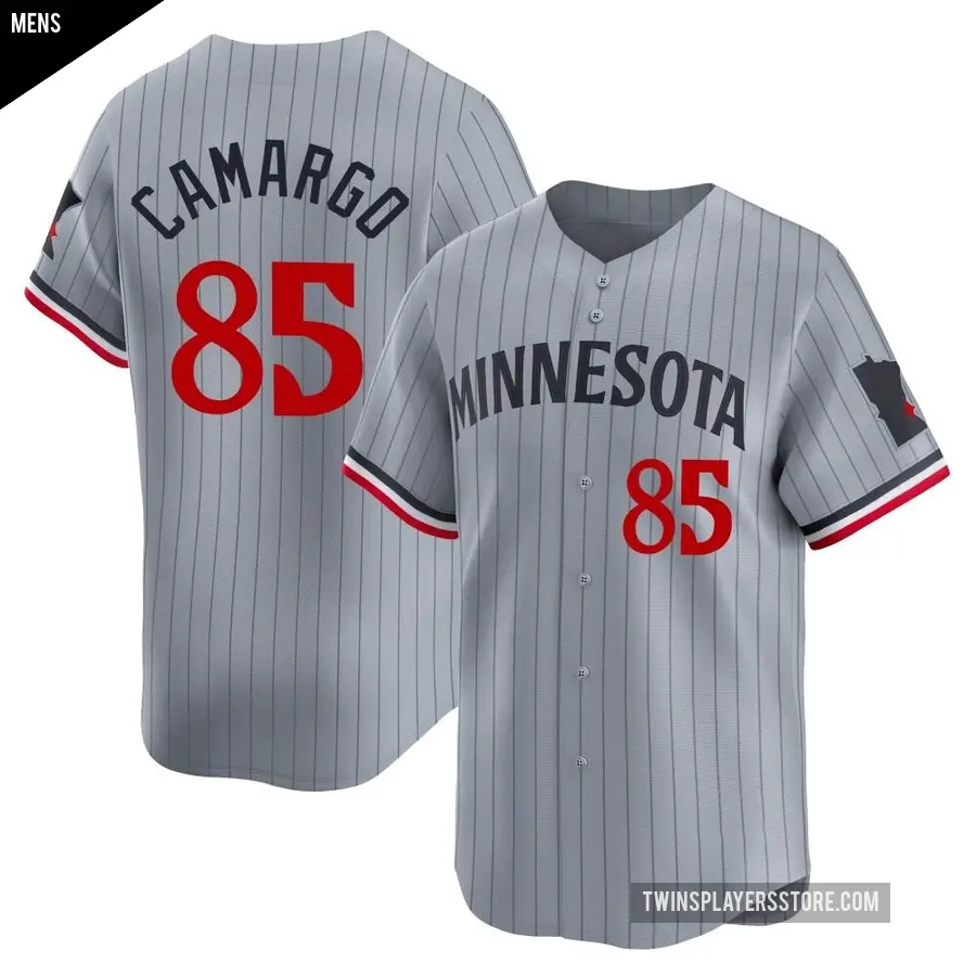 Men's Minnesota Twins ＃85 Jair Camargo Limited Gray Road Jersey